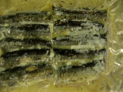 さんま塩焼き50g